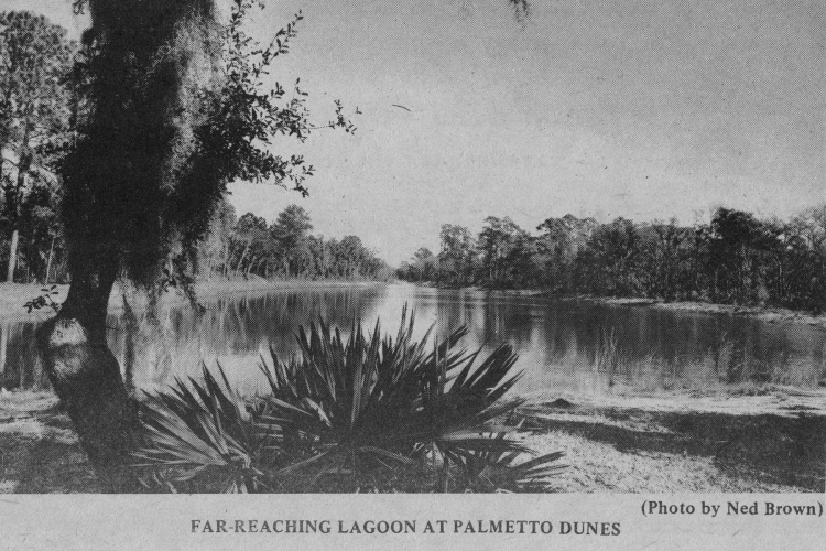 Palmetto Dunes Lagoon System